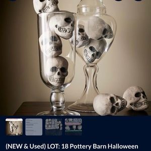 (New and used) Pottery Barn Halloween skull heads.